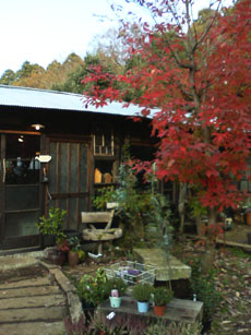 f0204440_2264484.jpg