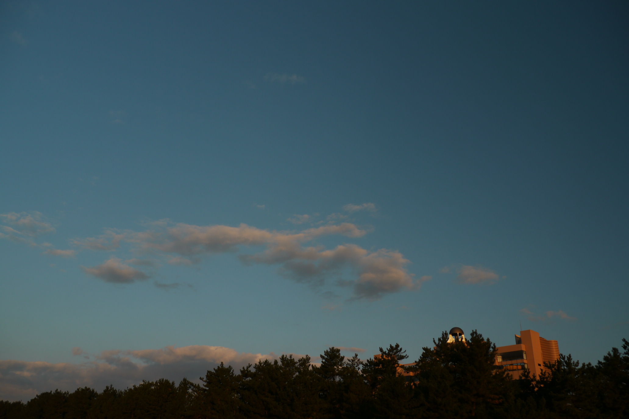 b0190242_13151222.jpg
