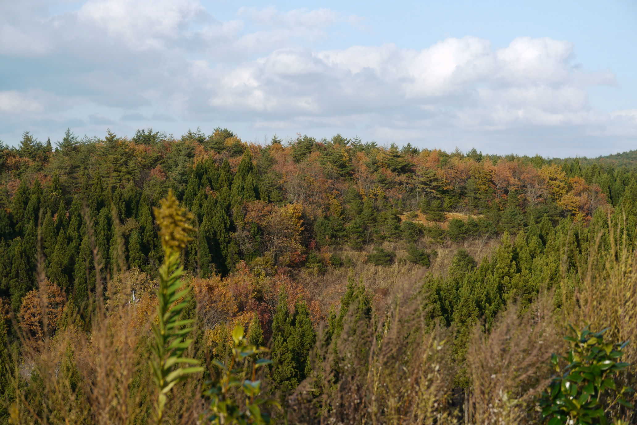 b0190242_13195243.jpg