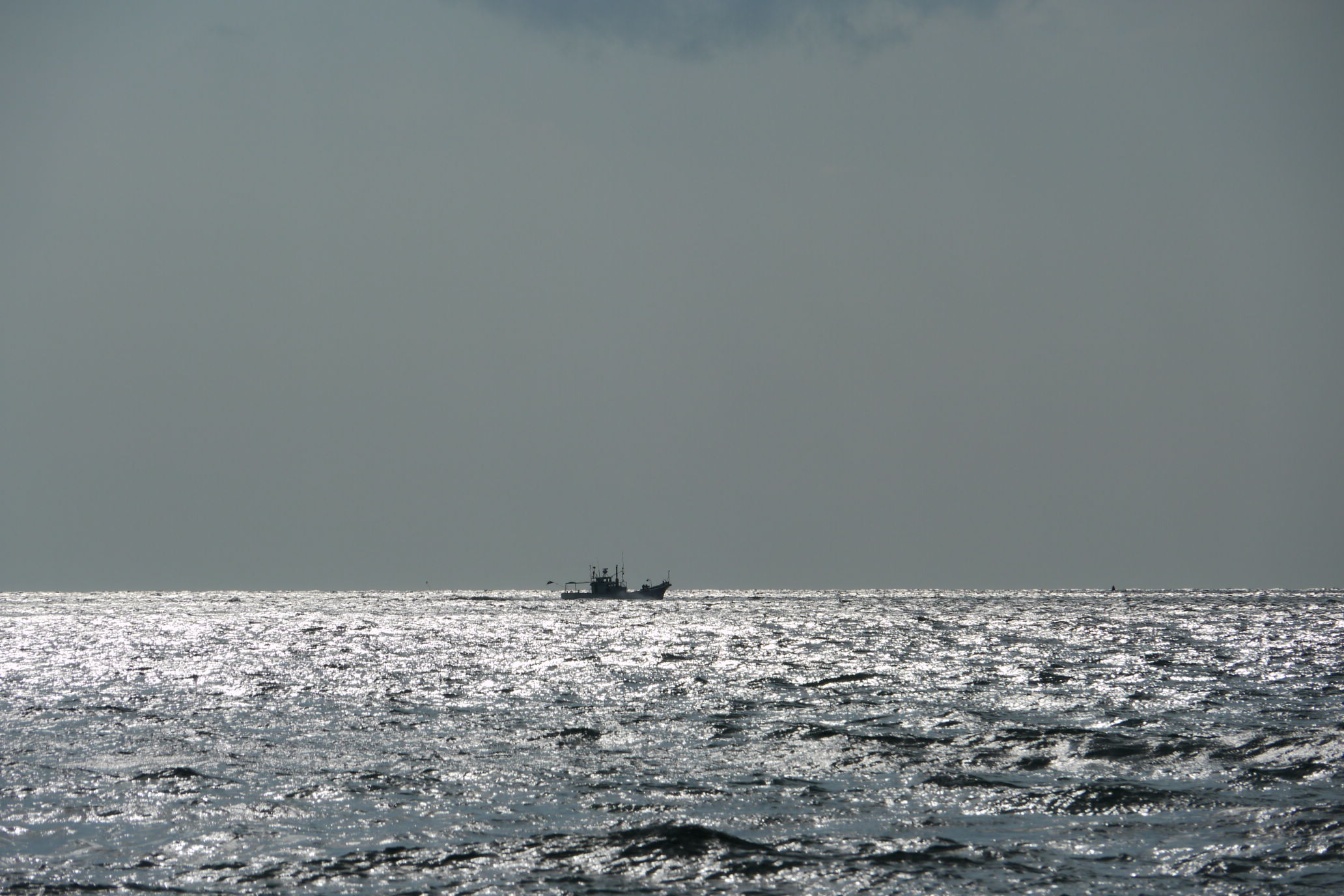 b0190242_13225151.jpg