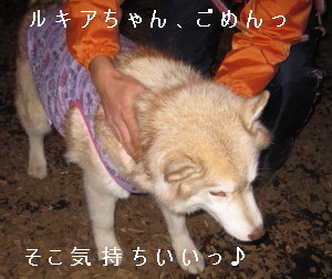 e0121548_20571762.jpg