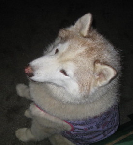 e0121548_2174751.jpg