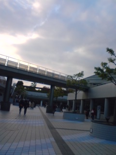 a0087950_114852.jpg