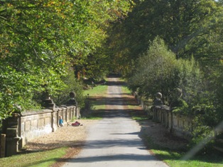 e0018350_8194365.jpg