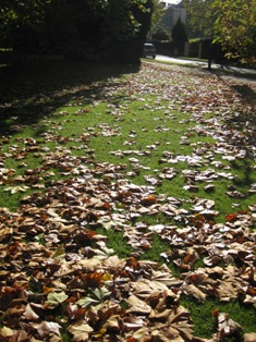 e0018350_8244287.jpg