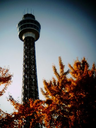 e0028650_112450.jpg