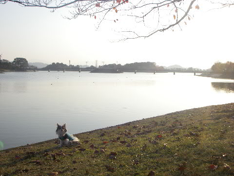 b0137459_0141077.jpg