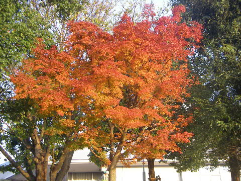 b0137459_021318.jpg