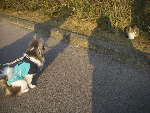 b0137459_050586.jpg