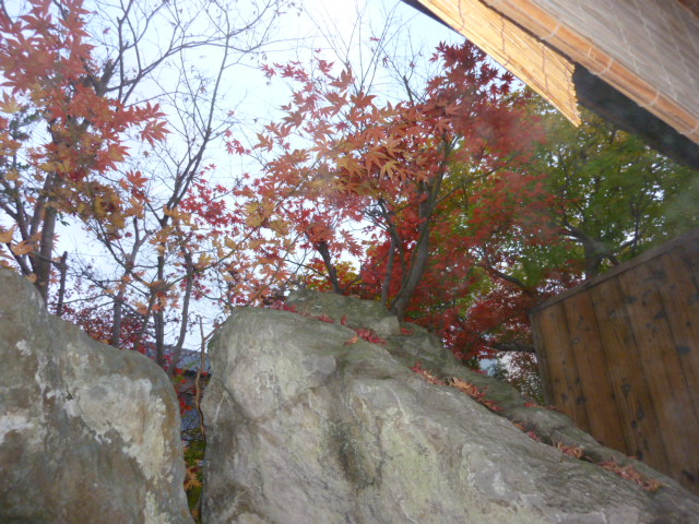 c0211464_15521527.jpg