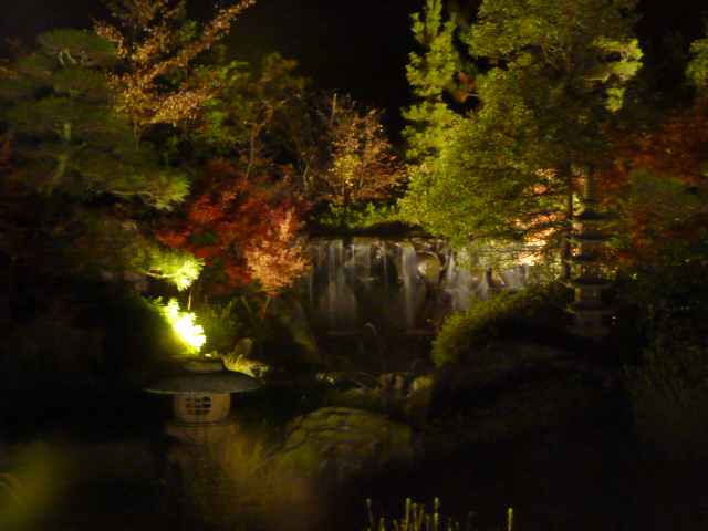 c0211464_1641819.jpg