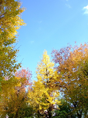 d0102664_21365048.jpg