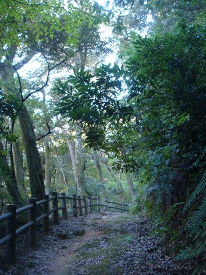 b0186666_5581630.jpg