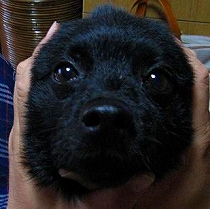 e0002466_21113668.jpg