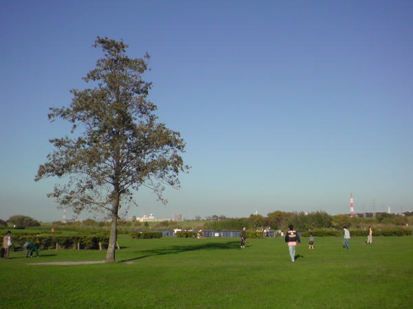 e0153367_22125050.jpg