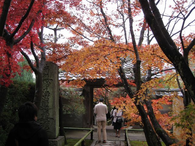 d0037669_2135152.jpg
