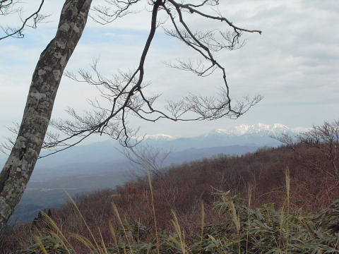 c0022275_22172533.jpg