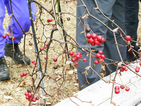 c0022275_22191962.jpg