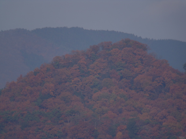 e0015377_20525097.jpg
