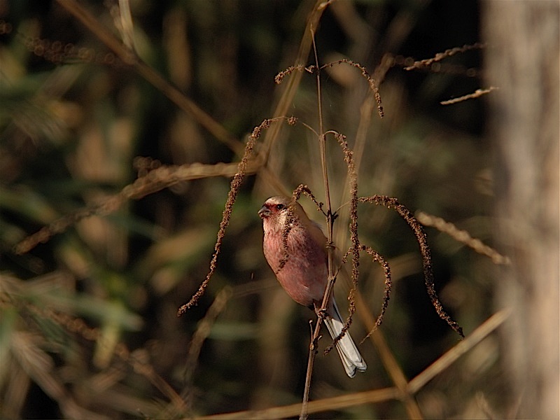 e0015377_20525968.jpg
