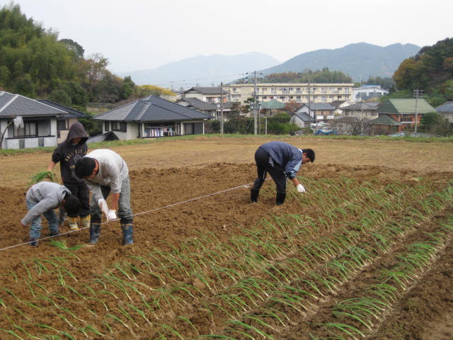 e0168877_2291079.jpg
