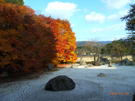 b0002879_22305932.jpg