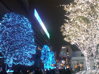 c0150879_22335390.jpg