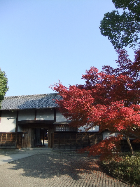 e0132881_1503093.jpg