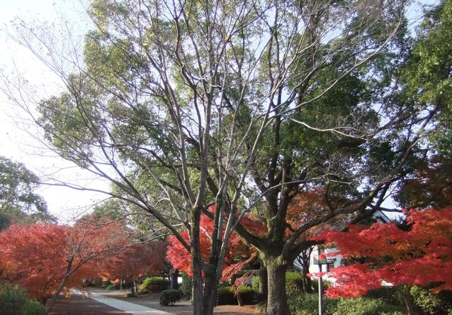 e0132881_1581613.jpg