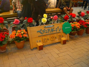 a0109288_2031686.jpg