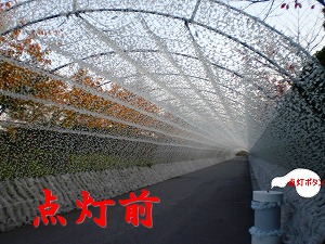 a0109288_22564697.jpg