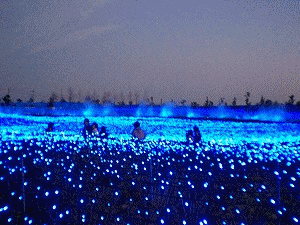 a0109288_23221962.gif