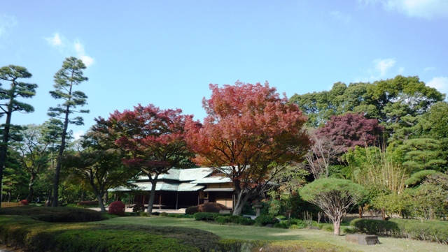 a0127090_19512973.jpg