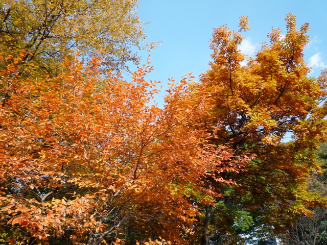 a0127090_19525269.jpg