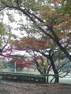 f0130894_21153074.jpg