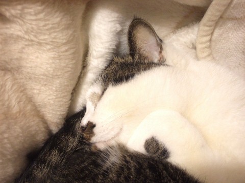 c0115596_22571136.jpg