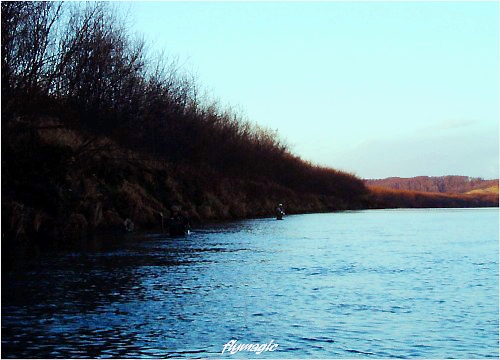 e0035597_187243.jpg