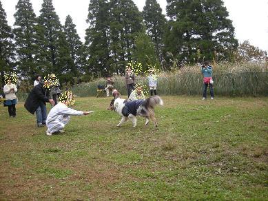 f0081100_104389.jpg