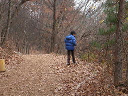 e0179801_1153455.jpg