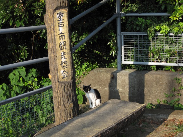 e0183804_21304530.jpg