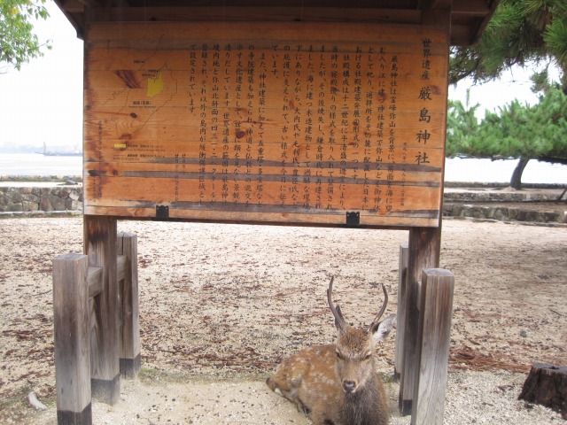 e0183804_22592490.jpg