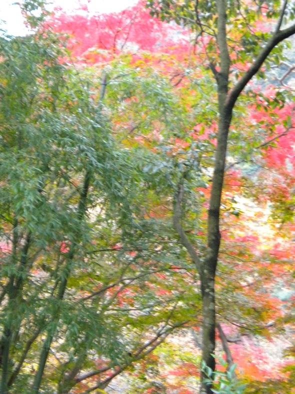 c0163006_20374686.jpg