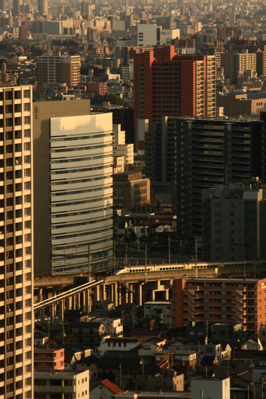 b0180907_2232480.jpg