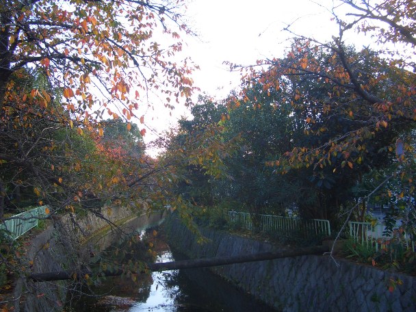 e0033713_18182186.jpg