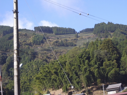 a0131618_23144393.jpg
