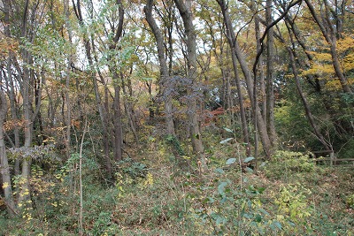 e0121418_0123636.jpg