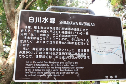 e0119122_1610410.jpg