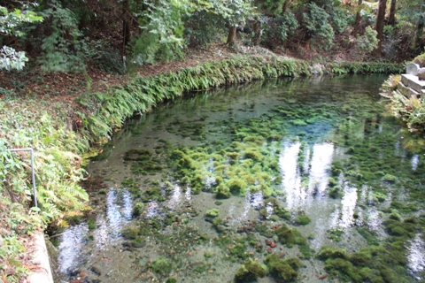 e0119122_1614813.jpg