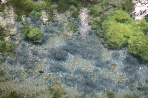 e0119122_1615834.jpg