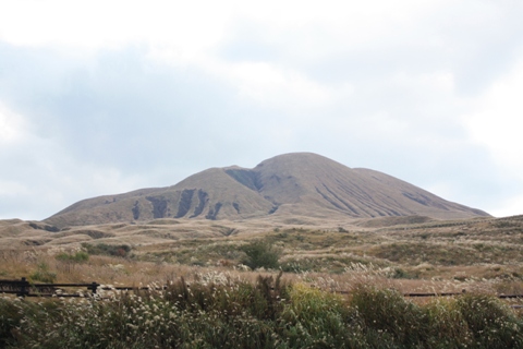 e0119122_16293419.jpg